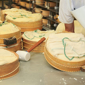 Dairy - cheese processing